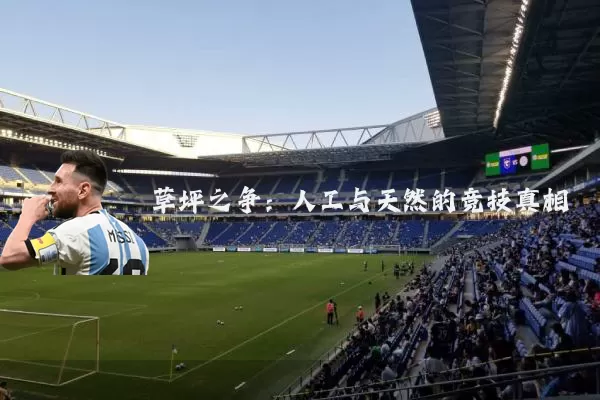 草坪之争：人工与天然的竞技真相